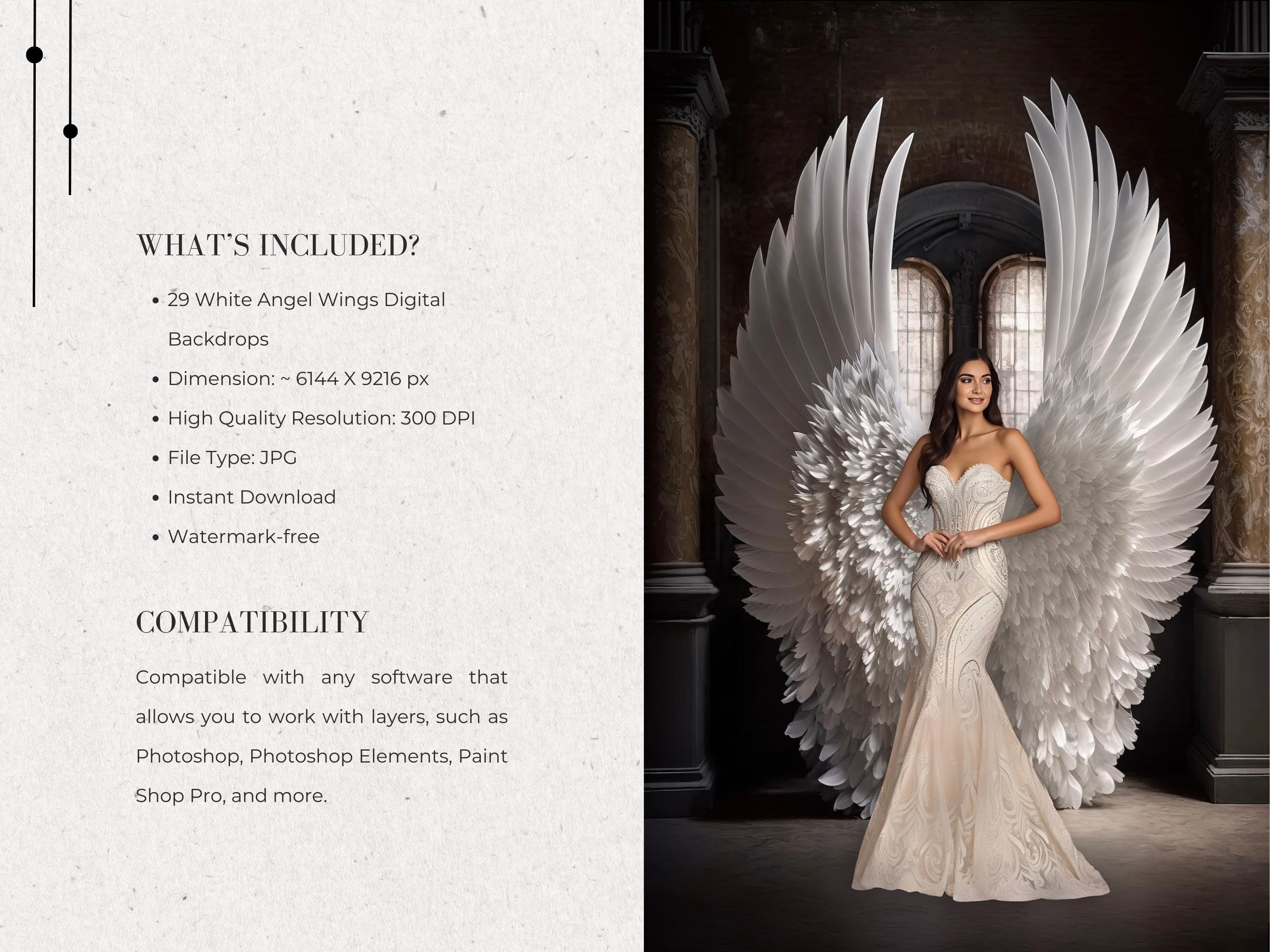 Digital Backdrops Angel Wings Digital Overlays Maternity Digital ...