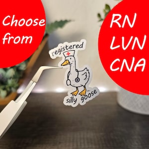 Pegatina de enfermera registrada, divertida, para Kindle, para gimnasio, para portátil, para auxiliar de enfermería certificado (CNA), para enfermeras registradas (RN) y para enfermeros vocacionales (LVN).