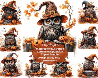 JPEG Autumn Owl floral Clipart , Cute Fall Owl,watercolour Woodland Owl Illustration , Cozy Autumn Animal Clipart , Junk Journal Printable