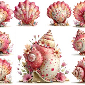 Puede incluir: Ilustraciones en acuarela de varias conchas marinas en tonos rosa, coral y crema, adornadas con detalles florales. La colección muestra diversas formas y texturas, perfectas para decoración costera o proyectos artísticos.