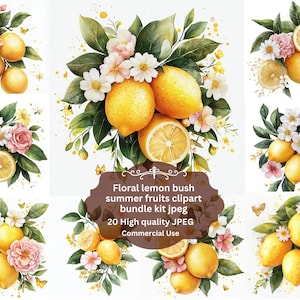 Clipart floral citron, clipart citron aquarelle méditerranéen, clipart légume fruit, agrumes Clip Art, verdure, usage Commercial