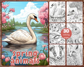 30 Spring Animals Coloring Book, Grayscale Animals and Flowers Coloring Pages for Adults Kids, Birds, Swan, Printable PDF, Instant Download