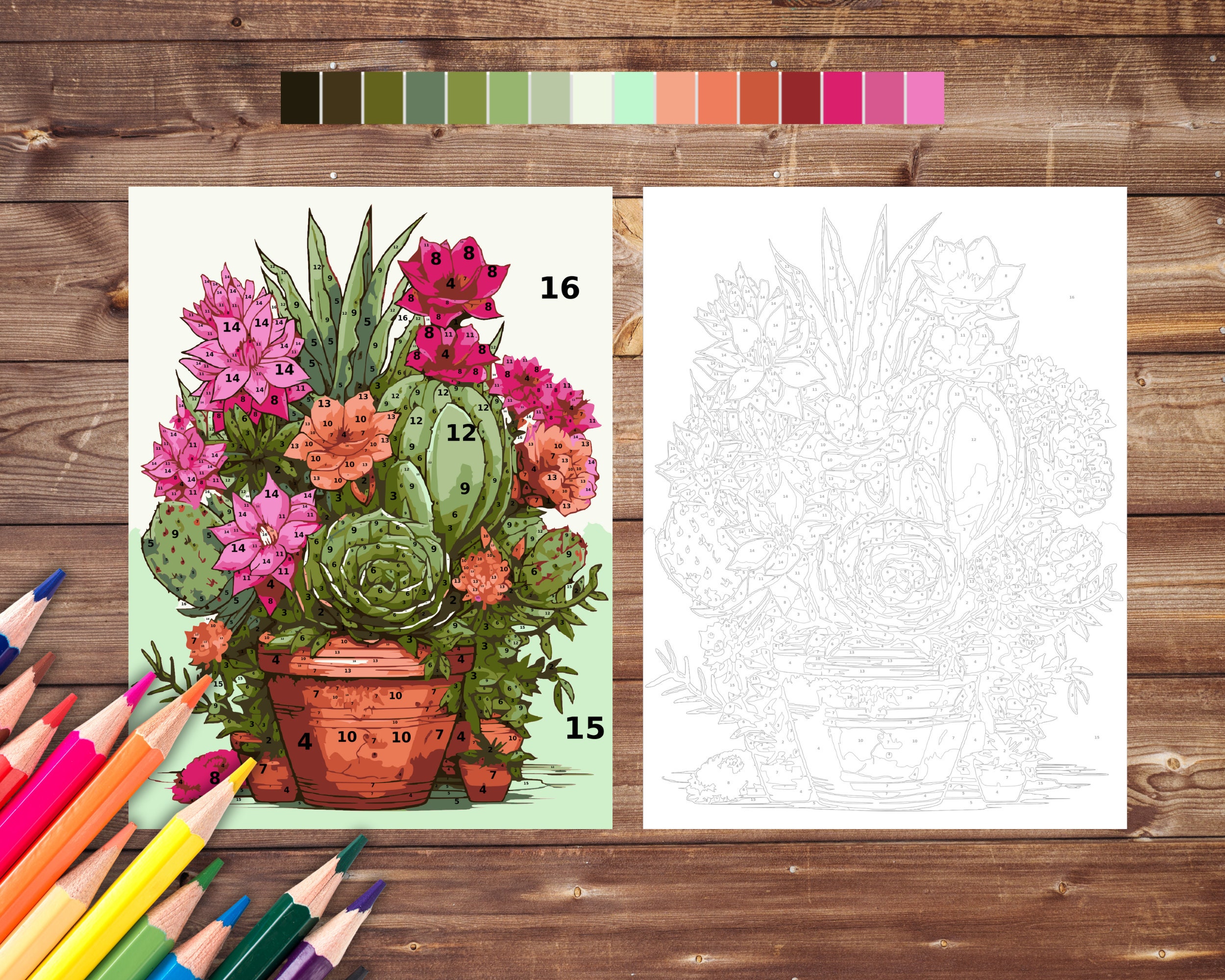 Color by Number for Adult, Cactus Succulent Paint by Number, Printable ...