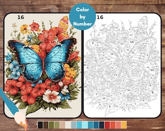 Color By Number for Adults, Butterfly Paint by Number, Printable Coloring Pages Sheets, Digital Download, PDF