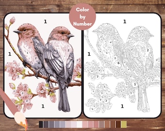 Color By Number for Adults, Birds Paint by Number, Printable Coloring Pages Sheets, Digital Download, PDF, PNG