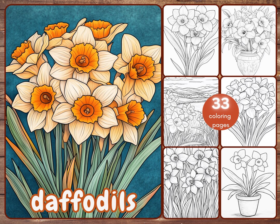 33 Daffodil Coloring Book, Grayscale Flowers Coloring Pages for Adults ...