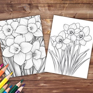 33 Daffodil Coloring Book, Grayscale Flowers Coloring Pages for Adults ...