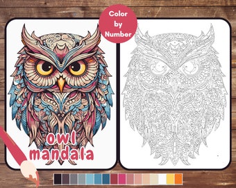 Color By Number for Adult, Owl Mandala Paint by Number, Printable Coloring Pages Sheets, Digital Download, PDF