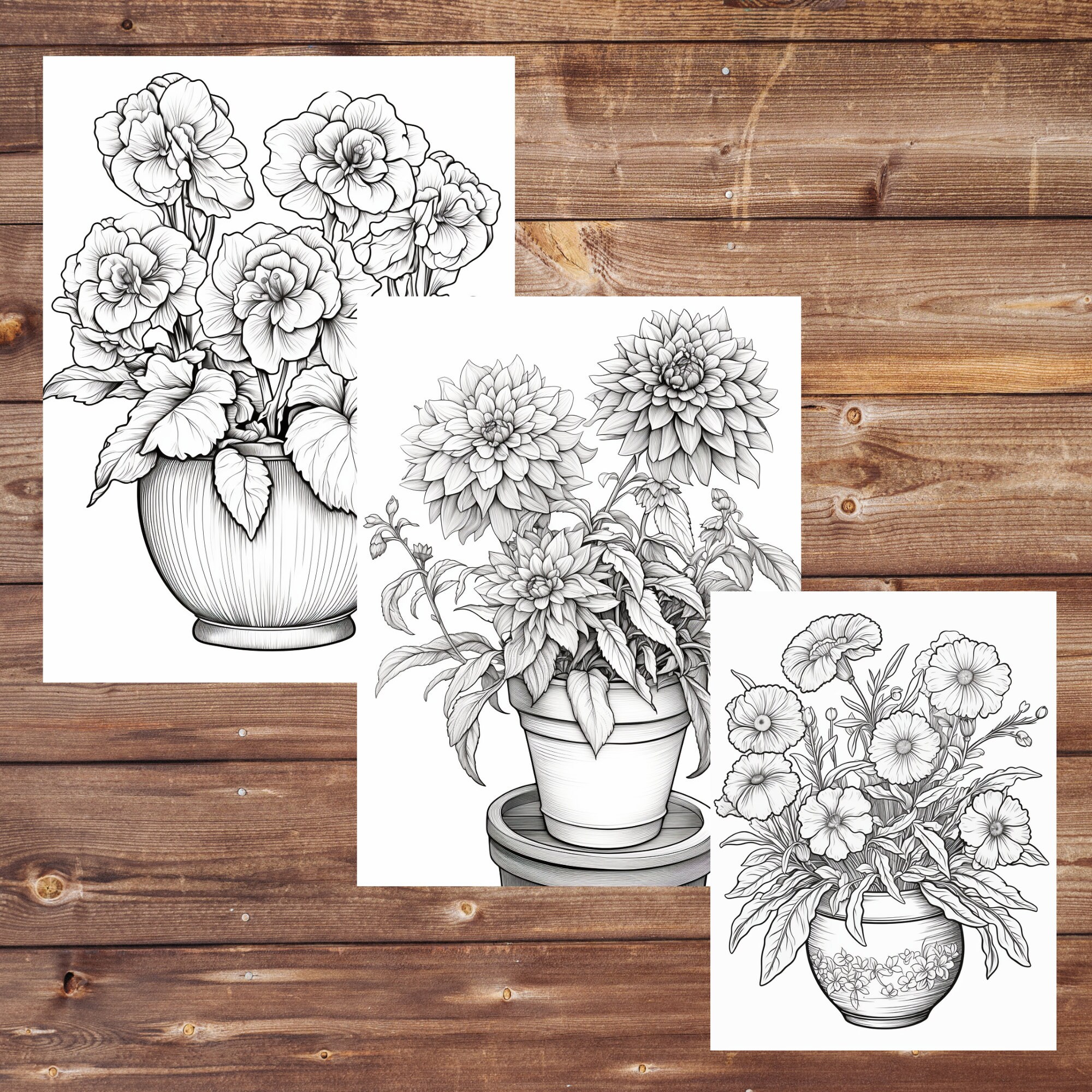 30 Flowers in Pots Coloring Book, Grayscale Floral Coloring Pages ...