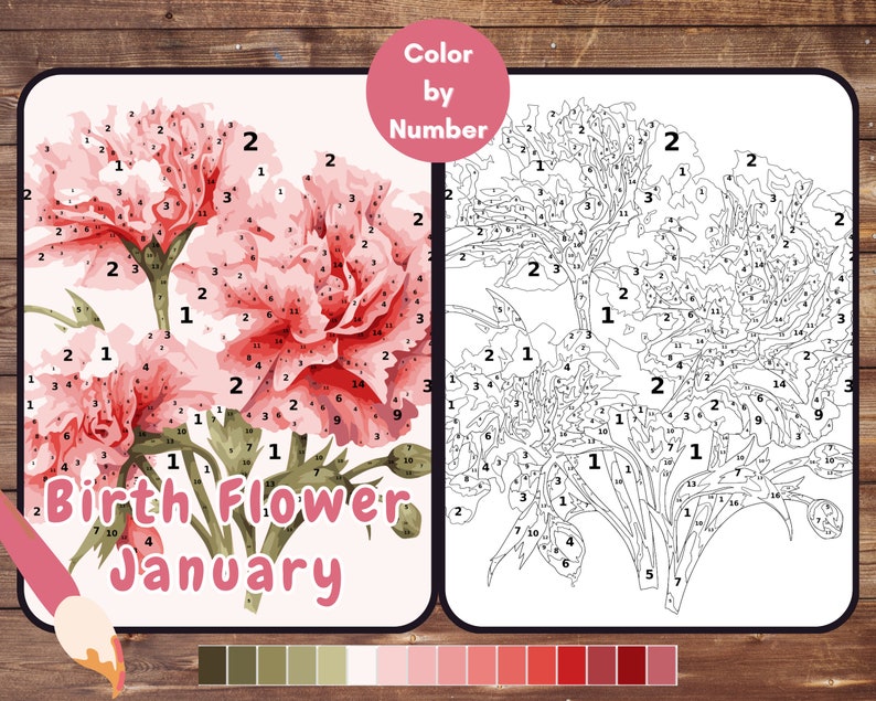 January Birth Flower Color by Number, Carnation Flower Paint by Number for Adult, Printable ...