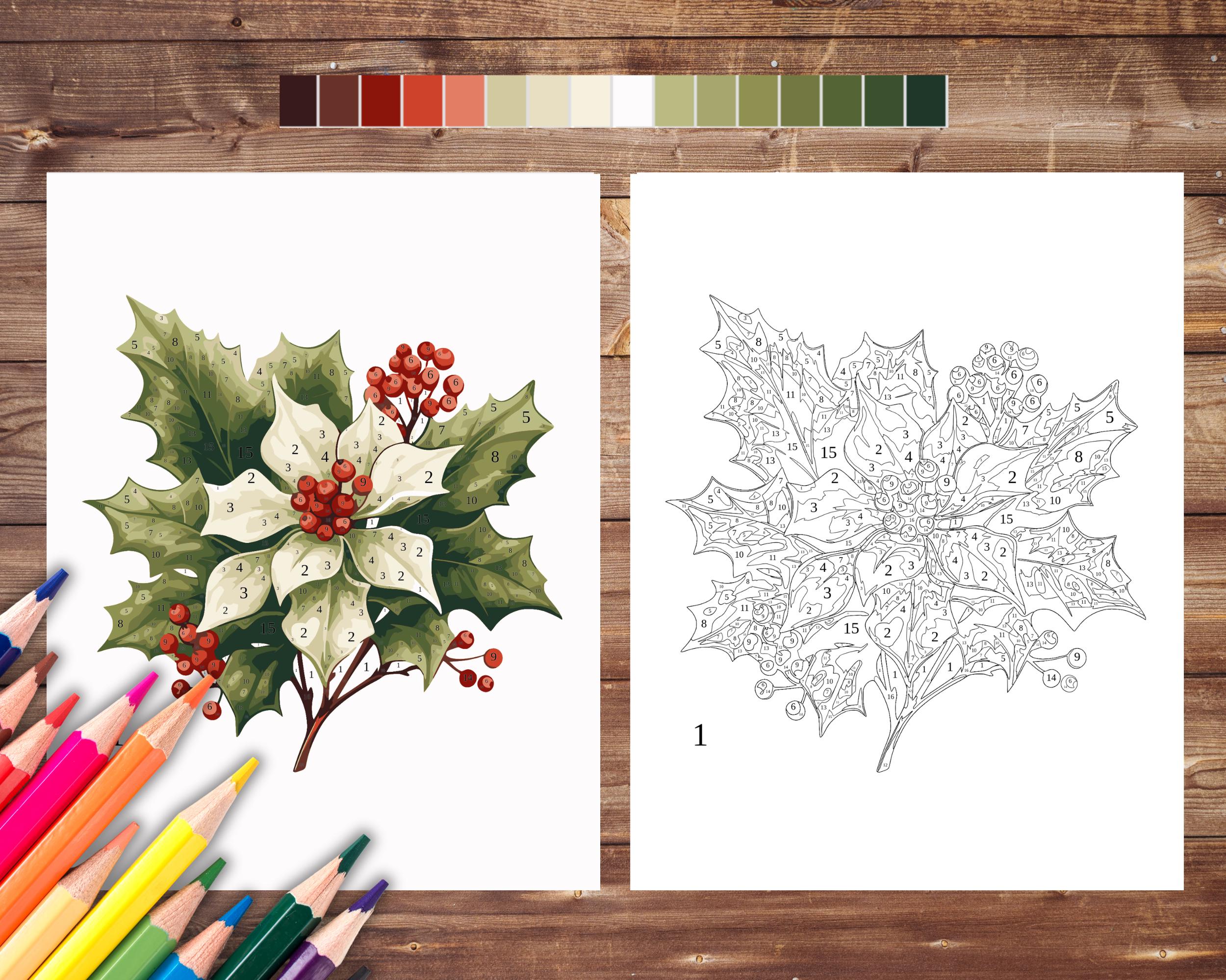 December Birth Flower Color by Number, Holly Paint by Number for Adult ...