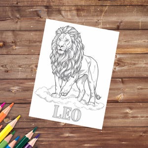 May include: A black and white line drawing of a lion standing on a cloud with the word "LEO" written below it.