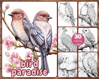 30 Bird Paradise Coloring Book, Grayscale Fantasy Birds Coloring for Teens and Adults, Animals, Parrots, Owls, Printable, Instant Download