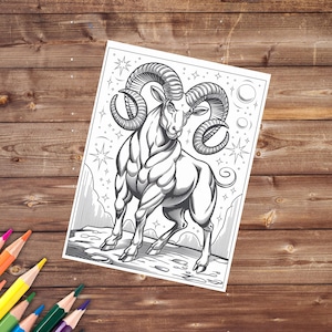 May include: A black and white line drawing of a ram with large horns standing on a rocky surface. The ram is surrounded by stars and crescent moons.