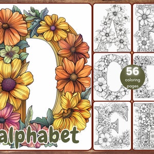 Livre de coloriage de 56 lettres de l&#39;alphabet, lettres en niveaux de gris à colorier pour adultes, lettres avec fleurs, PDF imprimable, téléchargement immédiat