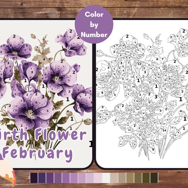 February Birth Flower Color by Number, Violet Flower Paint By Number for Adult, Printable Coloring Pages Sheets, Digital Download, PDF&PNG