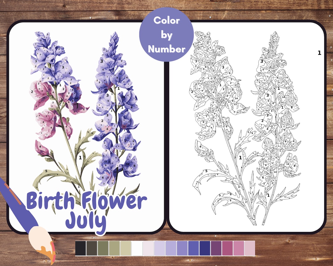 July Birth Flower Color by Number, Larkspur Paint by Number for Adult ...