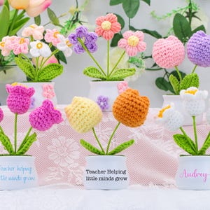 May include: A collection of crocheted flower arrangements in small white pots. The flowers are in various colours, including yellow, pink, purple, and red. Each pot has a personalised message.
