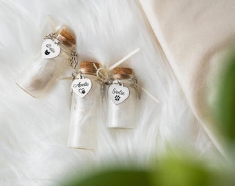 Custom Pet Memorial Bottle ,Personalized Glass Jar for Pet Fur,Pet Loss Keepsake,Dog&Cat Remembrance Gift,Rainbow Bridge Pet,Urn Memorial
