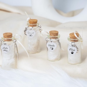 Personalized Pet Memorial Jar,Custom Dog Cat Fur Keepsake,Pet Fur or Ashes Urn, Rainbow Bridge Remembrance,glass vial for hair,Pet Loss Gift