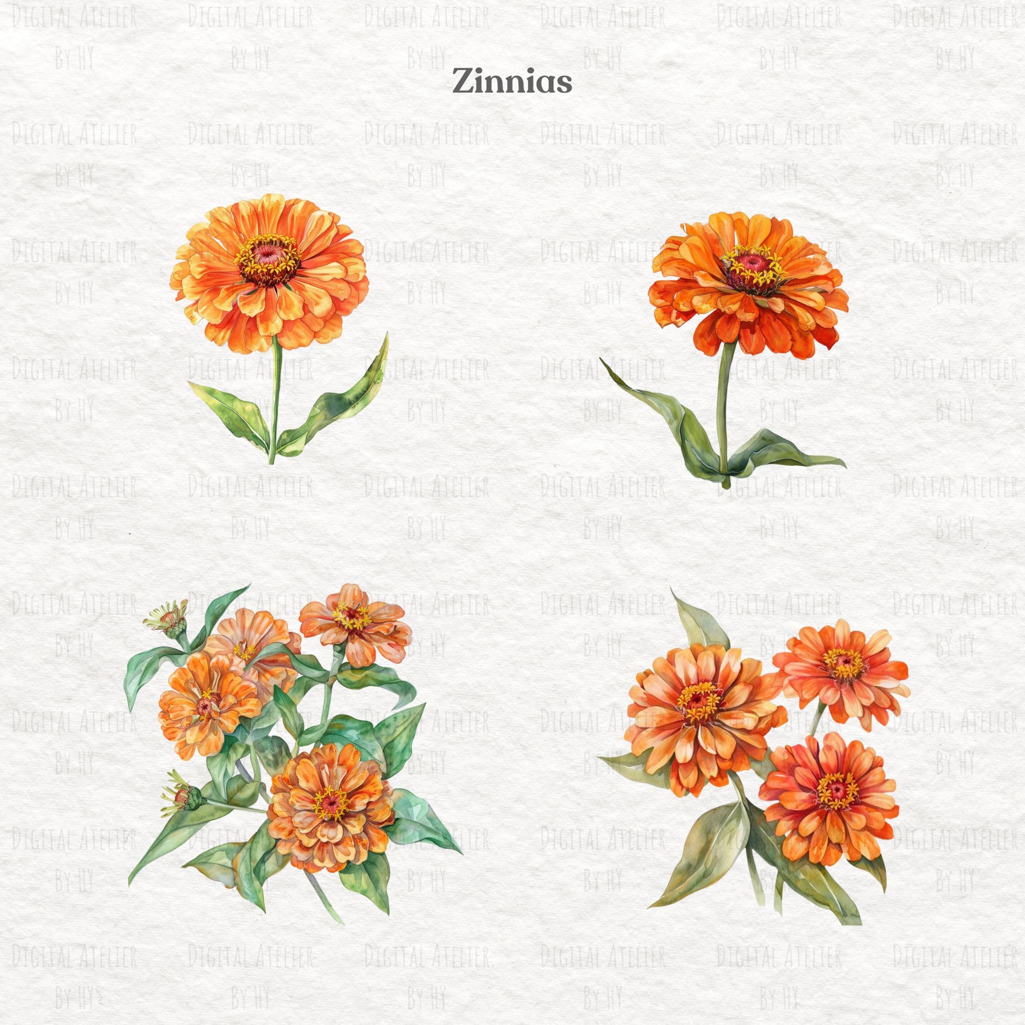 Watercolour Orange Flower Clipart. PNG. Digital Download. - Etsy UK