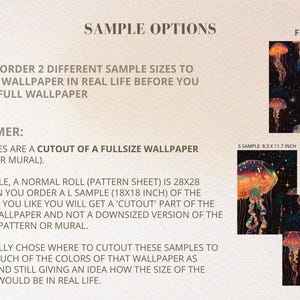 Sample options dark background with jellyfish
