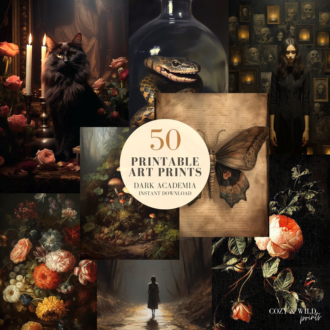 Dark Academia Art Prints: Mega Bundle of 50 (digital Download) - Etsy