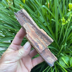 May include: A piece of petrified wood with a rough, textured surface displaying natural brown, tan, and reddish-orange mineral tones. The object has a long, splintered, and irregular shape with visible grain patterns running along its length.
