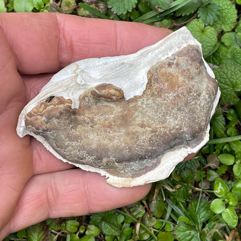 Calvert Stone - Etsy