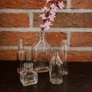 5 antike Glasflaschen Set – Vintage Apothekerflaschen klar – Mini Vasen Deko – Shabby Chic Glasfläschchen