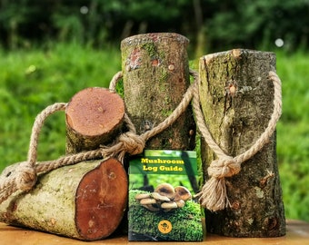 Gourmet Mushroom Log [Pre-Inoculated] - Oyster, Shiitake and Lion's Mane - 30cm