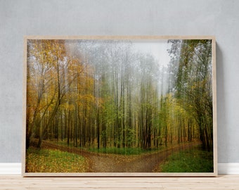 Framed Photo of an Autumn Forest, Painterly Serene Large Woodland Wall Art, Peaceful Golden and Green Hues Ambiance Print, Gift for Him Her