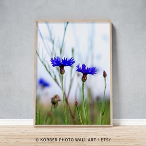Framed Photo of Cornflowers Close-Up in a Field, Wedding gift for her, Housewarming Present for Nature Lovers, Large Vibrant Blue Wall Art
