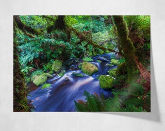 Tropical Forest Stream in New Zealand Large Photo Poster, Gift or Souvenir for Travellers Hikers, Relaxing Retreat Nature Lovers Wall Art