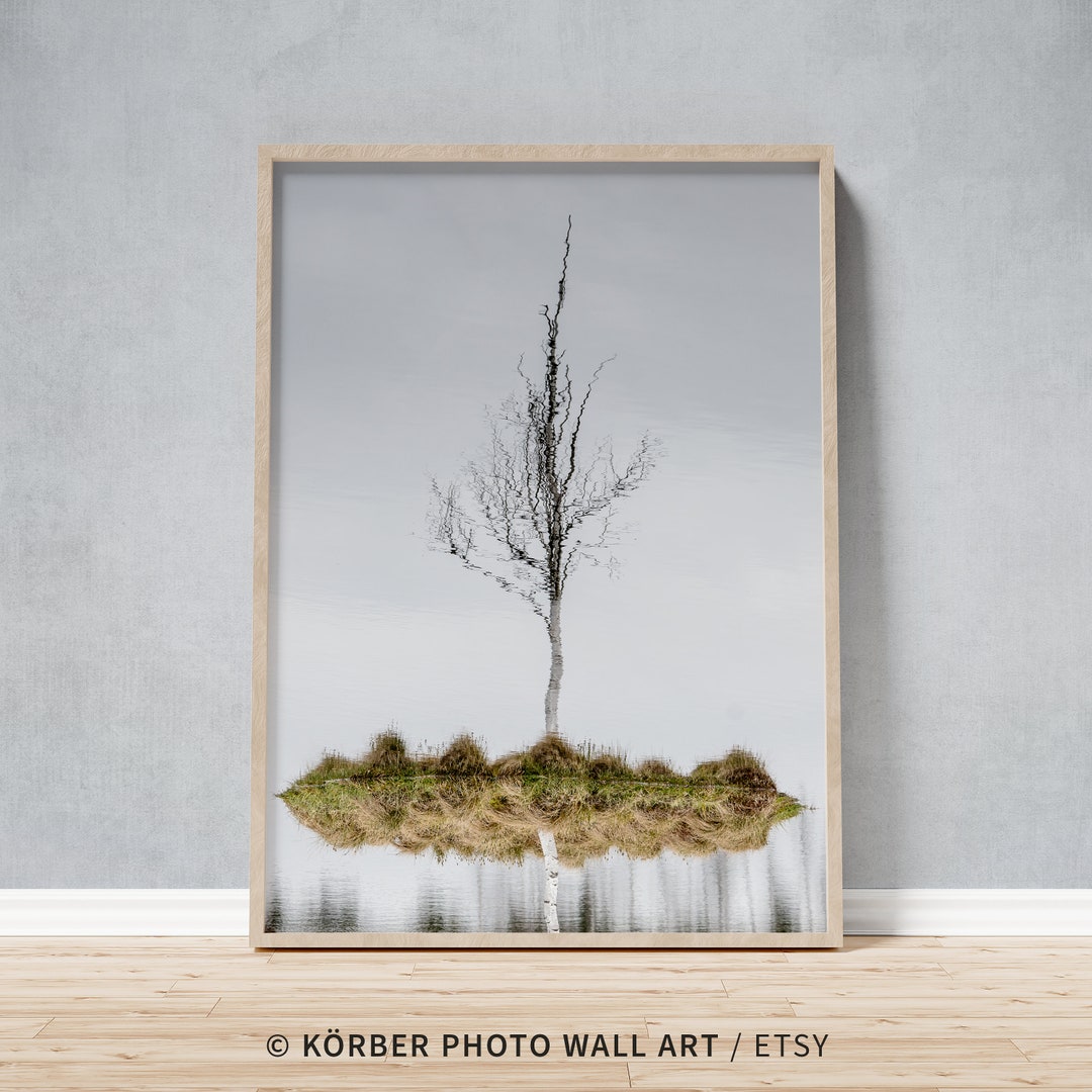 Surreal Floating Tree Framed Photo, Reflected Birch High Moor Lake Wall ...