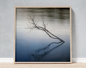 Framed Photo Minimalist Branch on Calm Lake, Blue-Grey Seascape Photography Gift for Meditators, Scandi Interior Modern Office Photo