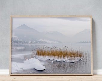 Framed Photo of Snowy Reeds on Frozen Lake, Winter Landscape Souvenir of Schliersee Bavaria in Germany, Cozy Home Decor for Living Room