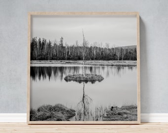 Birke Reflektiert im Hochmoorsee als gerahmtes Foto, Böhmerwald Schwarz-Weiß Wandkunst, Tschechisches Landschaftsfoto Geschenk für Wanderer