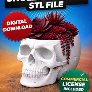 May include: A white skull-shaped planter filled with burgundy succulents. The planter has a detailed design and is set against a blue and brown background. Text on the image reads "3D Printable Skull Planter STL File" and "Digital Download".