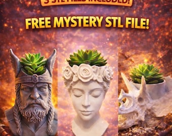 Viking, Goddess, Triceratops Skull Planter STL Bundle (Digital Download)