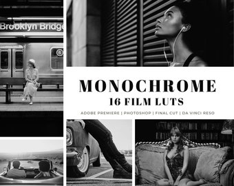 16 Monochrome Film LUTs: Retro Video & Photo Presets (Digital Download)