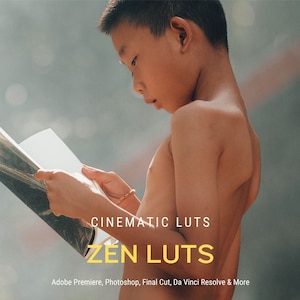 Puede incluir: Un niño pequeño leyendo un libro al aire libre. La imagen tiene texto superpuesto que dice "CINEMATIC LUTS ZEN LUTS Adobe Premiere, Photoshop, Final Cut, Da Vinci Resolve & More".