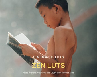 50 ZEN Film LUTs | Premiere Pro, Color Grading,  Video Presets, Video Editing, Retro Presets | Video Photo Mobile & Desktop |