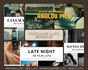 111 Film LUTs Bundle: Vintage, Night, Zen, Monochrome (Instant Download)