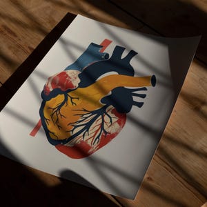 May include: Anatomical heart illustration on a white paper. The heart is depicted in shades of red, yellow, and blue, with a red vertical line. The artwork is placed on a wooden surface.