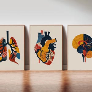 Abstract Anatomy Set, 3 pcs, Anatomy Print, Human Anatomy Art, Medical Poster, Science Art, Medical Wall Art, Doctor Gift, Digital Download