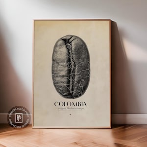 Peut inclure: A poster encadré représentant une image détaillée en niveaux de gris d'un grain de café avec le contour de la carte de la Colombie gravé dessus. Le mot "COLOMBIA" est imprimé sous le grain, avec les noms des régions caféières.