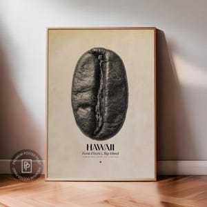 Op de afbeelding: Een ingelijste poster met een gedetailleerde, grijswaardenafbeelding van een koffieboon. De boon is gecentreerd tegen een beige achtergrond, met het woord "HAWAII" en "Kona District, Big Island" eronder gedrukt. De poster zit in een houten lijst.