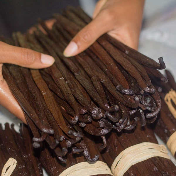 Gousses de vanille bourbon de Madagascar bien fraîche et charnue et parfumée, qualité gourmet. Nouvelle récolte Taille : 16-18cm