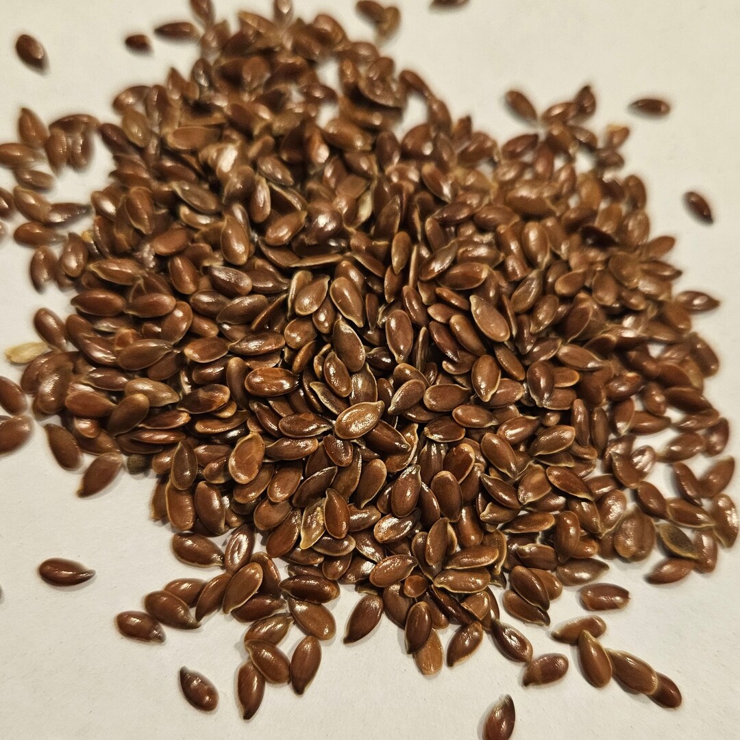 Flaxseed Has Anticancer Properties Etsy